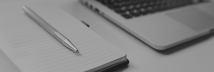 Nullam vel dolor vel nulla pharetra adipiscing