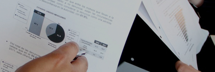 Sed sed ante convallis erat convallis euismod